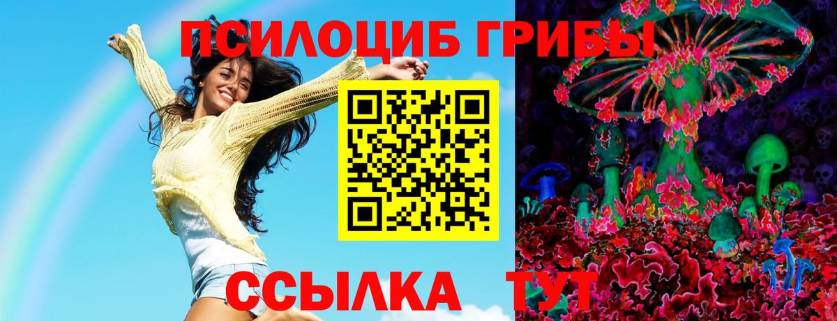 Галлюциногенные грибы Magic Shrooms  Вход с VPN  Галлюциногенные грибы Psilocybine cubensis  Коммунар 